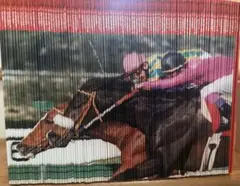 Item thumbnail for item 20d8630f-c9f6-4d6b-9b1d-381fdfd8ac8b