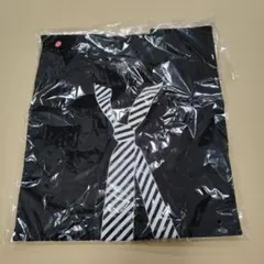 Item thumbnail for item 95b62293-2109-4b5f-bd79-2c5c253fa454