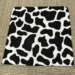 Item thumbnail for item 685d9066-e5ad-47c7-b586-40d3ffe86689