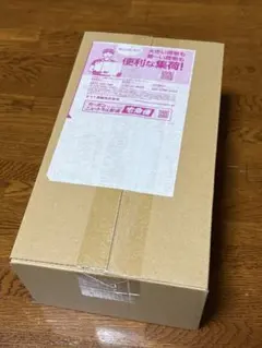 新品未開封 ポケモンセンターヒロシマ スペシャルBOX ポケモンカードゲーム