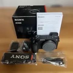 SONY α6000 ソニー シャッターカウント16301回 - メルカリ
