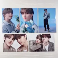 SEVENTEEN エスクプス HANABI Ode to you ペアトレカ