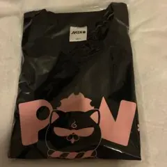 Item thumbnail for item 02a2e799-a256-4ddc-b24f-d55f0bd052ac