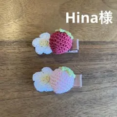 Hina様ご確認用☆ベビーヘアクリップ