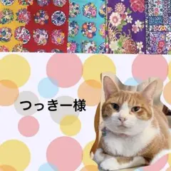 猫首輪 えり付き＋セーフティバックル ⑫-EN12-a