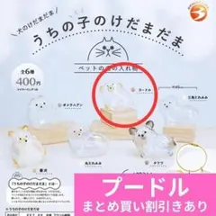 うちの子のけだまだま 犬のけだまだま ＜プードル＞ 正規品 ブライトリンク