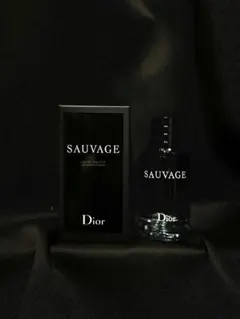 Dior SAUVAGE オードゥ トワレ 100mlのサムネイル