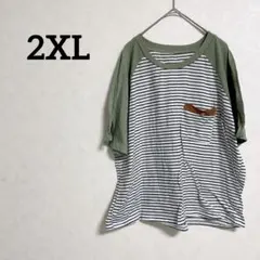 【2XL】ストライプ 半袖Tシャツ グリーン　カジュアル スポーツウェア