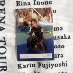 櫻坂46 生写真 谷口愛季 IWTC 座り