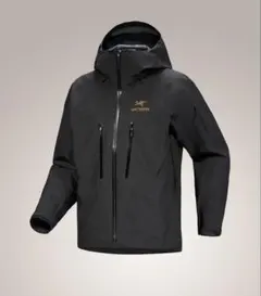 2025年最新】アルファsv 24k blackの人気アイテム - メルカリ