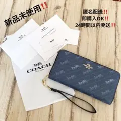 Item thumbnail for item ac657c5a-d8a9-4e79-8acc-643be320ce83