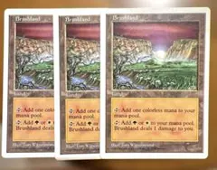 英語版マジックザギャザリング【低木林地】3枚