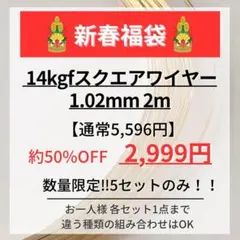 新春お年玉企画　14kgf スクエアワイヤー　ハード　1.02mm 2m