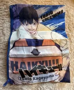 ハイキュー!! Play! バレーボールポーチでらっくす 影山飛雄