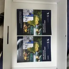 AFRICAN ECONOMIC OUTLOOK 2025