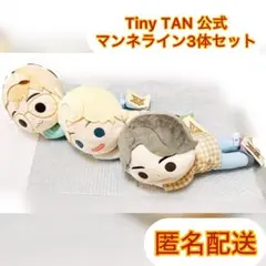 2025年最新】タイニータン ぬいぐるみの人気アイテム - メルカリ