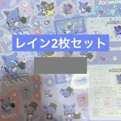 【即購入OK】JOCHUM シールダス レイン 2枚セット