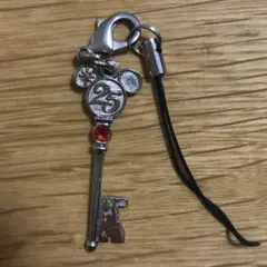ディズニー ２５周年 ドリームキー ミッキー 鍵 キーホルダー チャーム 非売品