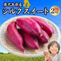 新物 鹿児島県産 シルクスイート 2㎏ さつまいも 322
