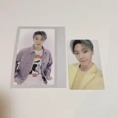 シーグリ セブチ ディノセット