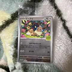 2026年最新】ポケモンカードゲームはじめようキャンペーンの人気