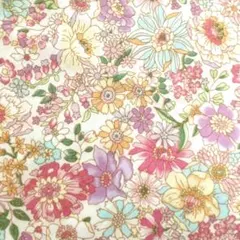 Item thumbnail for item cbe0a02a-01b4-4cb5-ad43-102e30722512