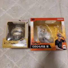 ハイキュー!!　るかっぷ　てのひら月島蛍