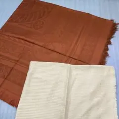 新品　資生堂　ストール　2点セット