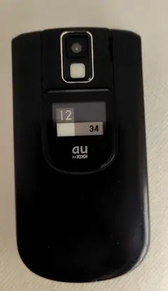 Item thumbnail for item 49cef5d1-0e26-4198-80f0-441e228aa76a