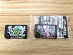 ポケモンフレンダ　オーガポン・ミュウツー