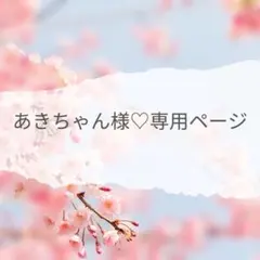 インド刺繍リボン♡S.karin様専用ページ