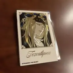 FGO テスカトリポカ ホテルカルデア チェキカードコレクション - メルカリ