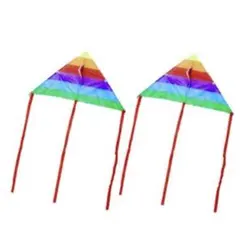 2026年最新】ゲイラカイトの人気アイテム - メルカリ