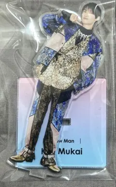 向井康二 アクスタ