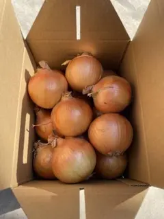 [農家直送]送料無料 淡路島産 玉ねぎ ターザン３kg Mサイズ ☆秀品☆のサムネイル