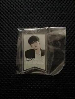 &TEAM &team HARUA セカナン ガチャ カプセルトイ ハルア