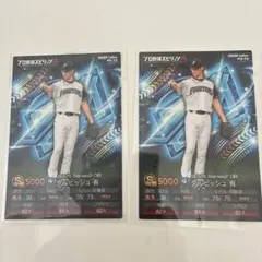 カルビープロ野球チップス、ダルビッシュ有投手キラー、ノーマル2枚セットおまけ付き