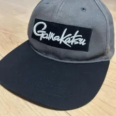 2026年最新】がまかつ キャップの人気アイテム - メルカリ