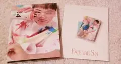 SEVENTEEN FACE THE SUN CARAT盤 ホシ