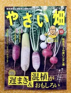 やさい畑 2026年10月号