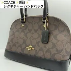 コーチ COACH シグネチャー ハンドバッグ F58295