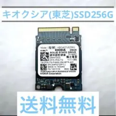 KIOXIA 256GB NVMe SSD KBG4AZNS256G