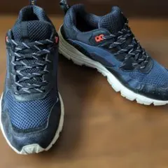 Item thumbnail for item 1bc167cf-47a2-471e-ab15-a5ea6485a17b