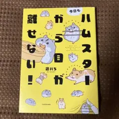 Item thumbnail for item 32e97bda-66e2-4d39-aa0f-dc0e63e2855e