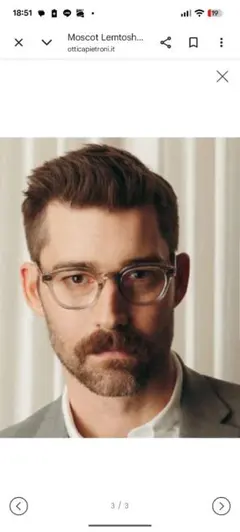 MOSCOT Lemtosh SAGE エクストラワイド