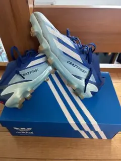 2026年最新】クレイジーファスト fgの人気アイテム - メルカリ