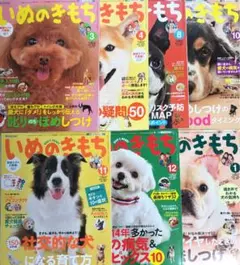 いぬのきもち　2024年　1年分　まとめ売り　12冊 いぬのきもち 2024年 1年分 まとめ売り 12冊 いぬのき