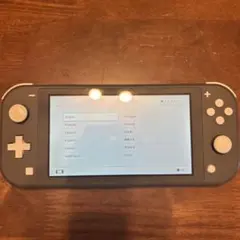 箱有 美品 Switchライト グレー