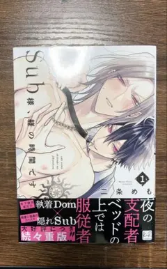 Sub様、躾の時間です 1巻 二条めも BL漫画 ボーイズラブ