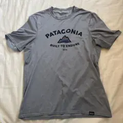 patagonia MEN'S CAPILENE DAILY GRAPHIC